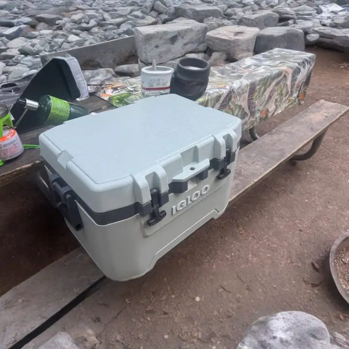 A cooler and camp stove at a picnic table.