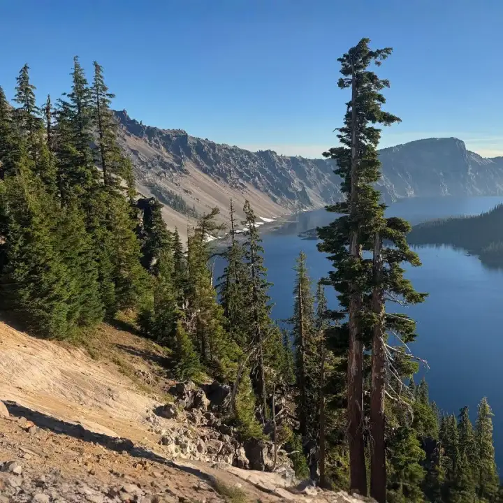 A high mountain lake seen from a forested rim.