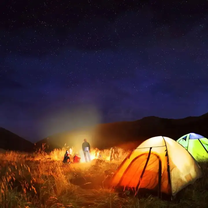 Camp under a starry sky.